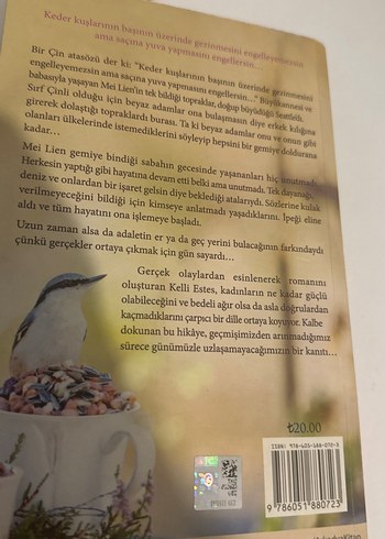 İpeği İşleyen Kız - Kelli Estes - Görsel 3