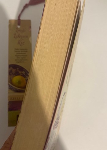 İpeği İşleyen Kız - Kelli Estes - Görsel 2