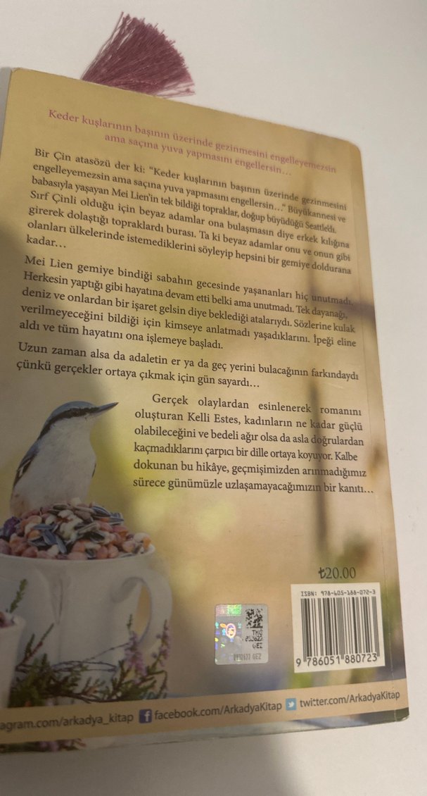 İpeği İşleyen Kız - Kelli Estes - Görsel 3