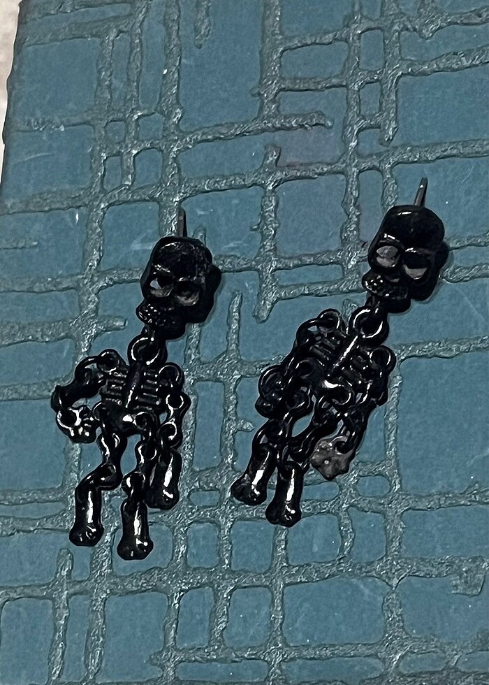 Çelik İskelet Küpeler - Görsel 2