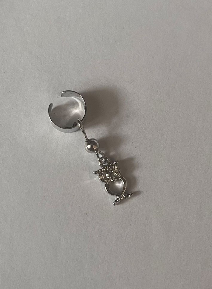 Kıkırdak küpesi - Görsel 2