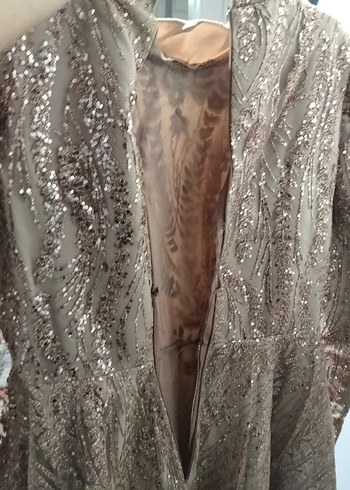 Bej Uzun Kollu İşlemeli Abiye Elbise - Görsel 6