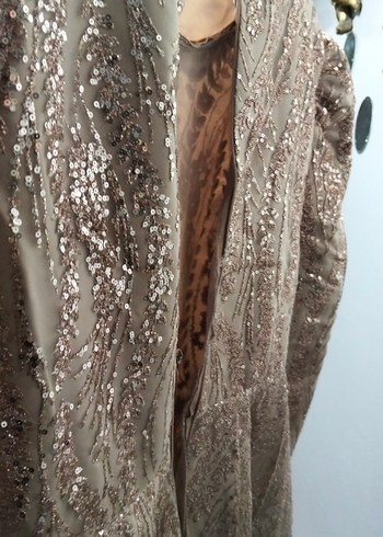 Bej Uzun Kollu İşlemeli Abiye Elbise - Görsel 3