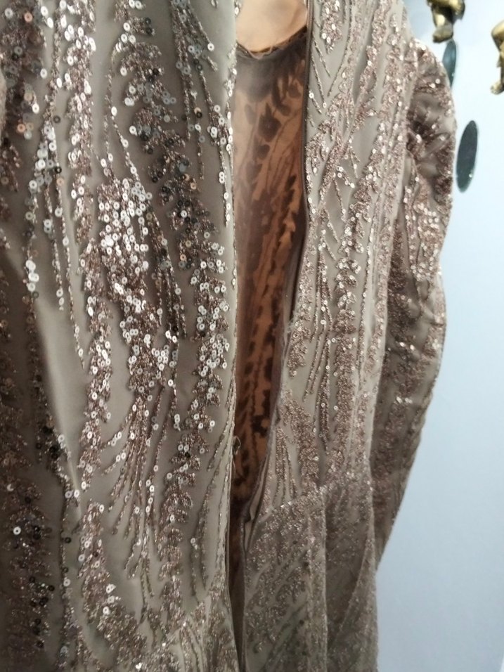 Bej Uzun Kollu İşlemeli Abiye Elbise - Görsel 3