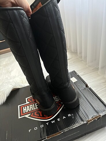 38 Beden Harley davidson bot