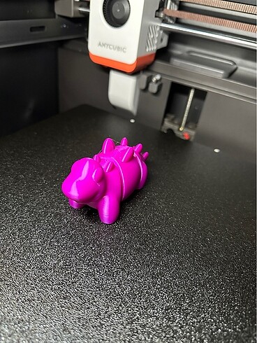 Oynak Dino