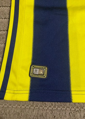 Erkek Sarı-Lacivert Çizgili Spor Forma - Görsel 2