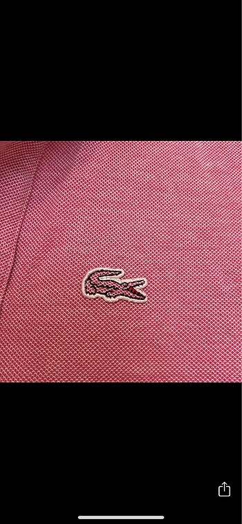 Lacoste Orjinal lacoste tshirt