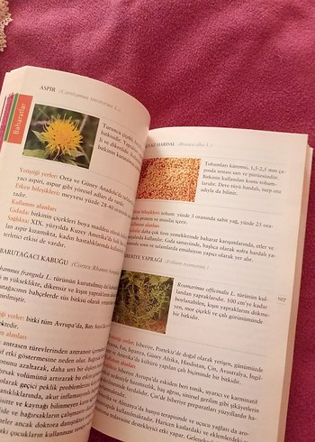  Beden Renk Doğanın Şifalı Eli - Dr. M. Ender Saraç