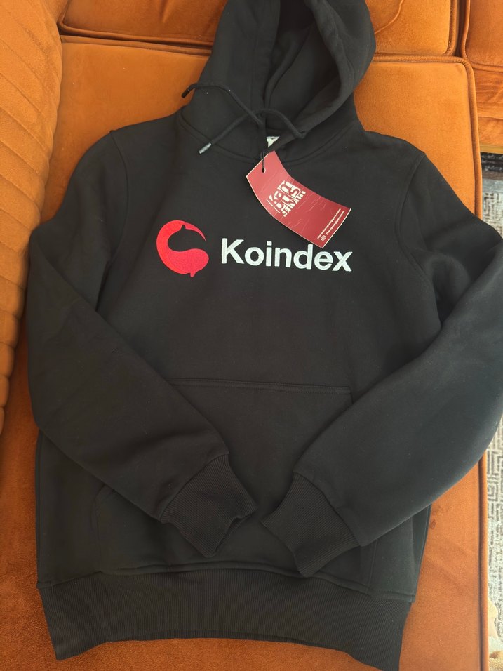 Koindex Baskılı Siyah Kapüşonlu Sweatshirt - Görsel 3
