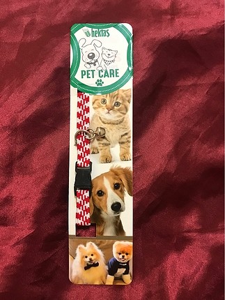 Kedi köpek tasması