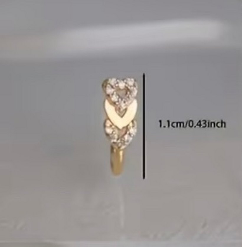 Y2k La Saade Kalpli Yaşlı Burun Hızma Piercing - Görsel 2