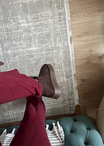 38 Beden Kahverengi tüylü Bot