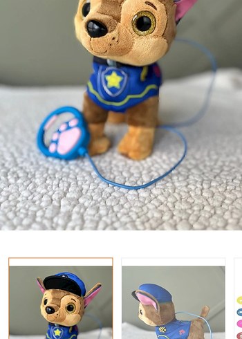 Kumandalı yürüyen köpek