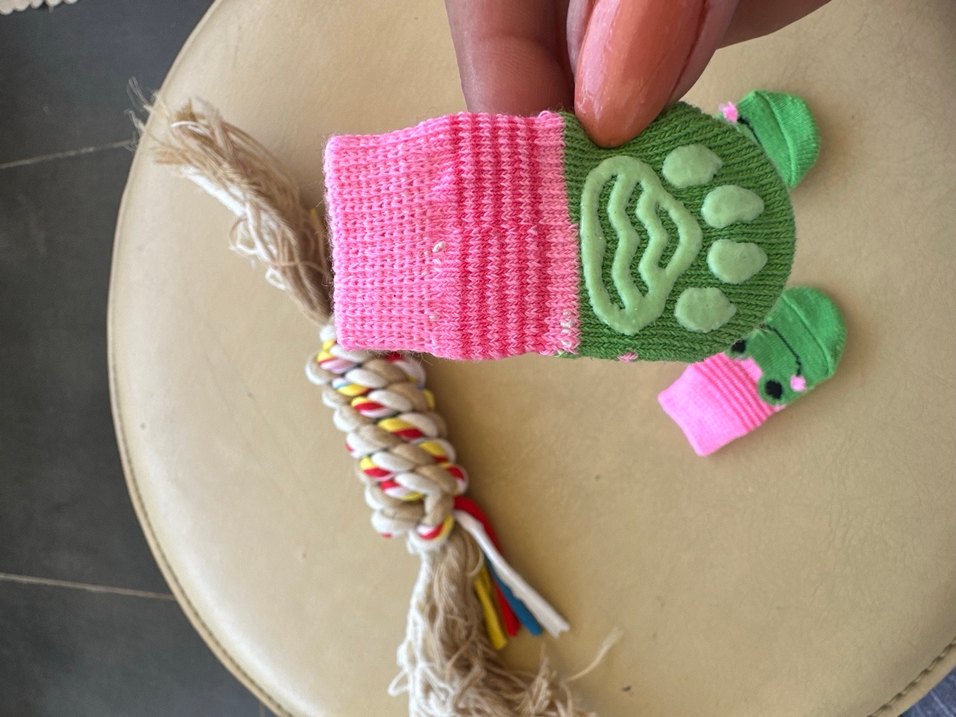 Renkli Kedi köpek Oyuncakları ve Çorap Seti - Görsel 3