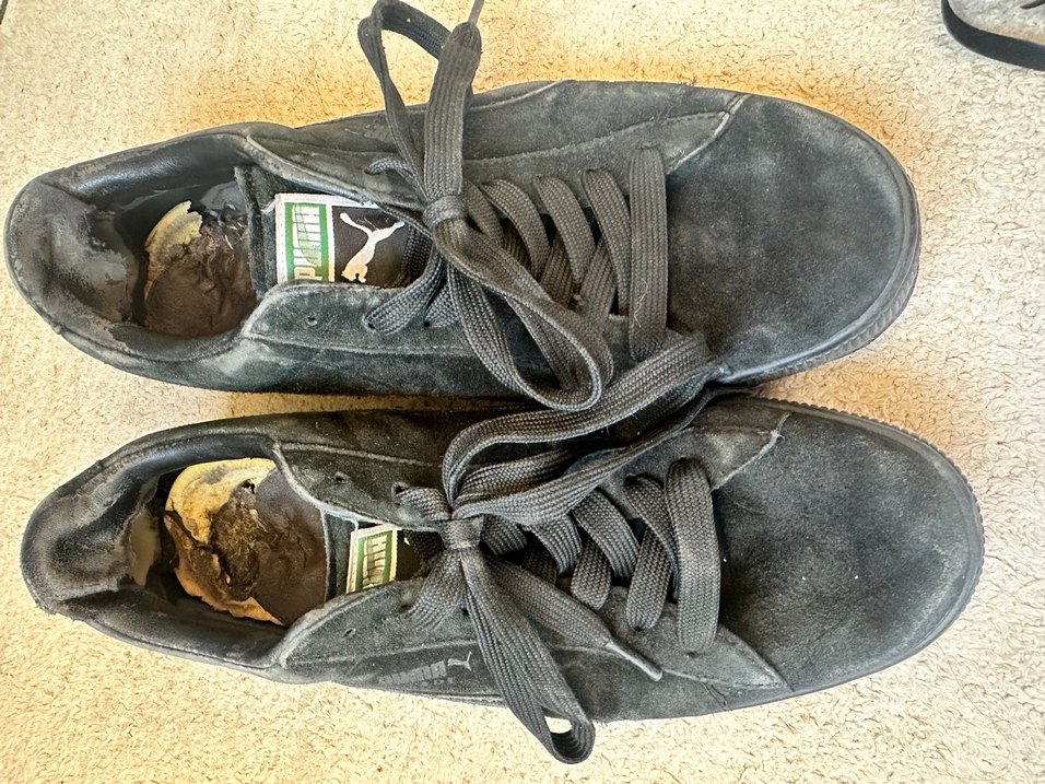 Puma Süet Spor Ayakkabı - Görsel 4