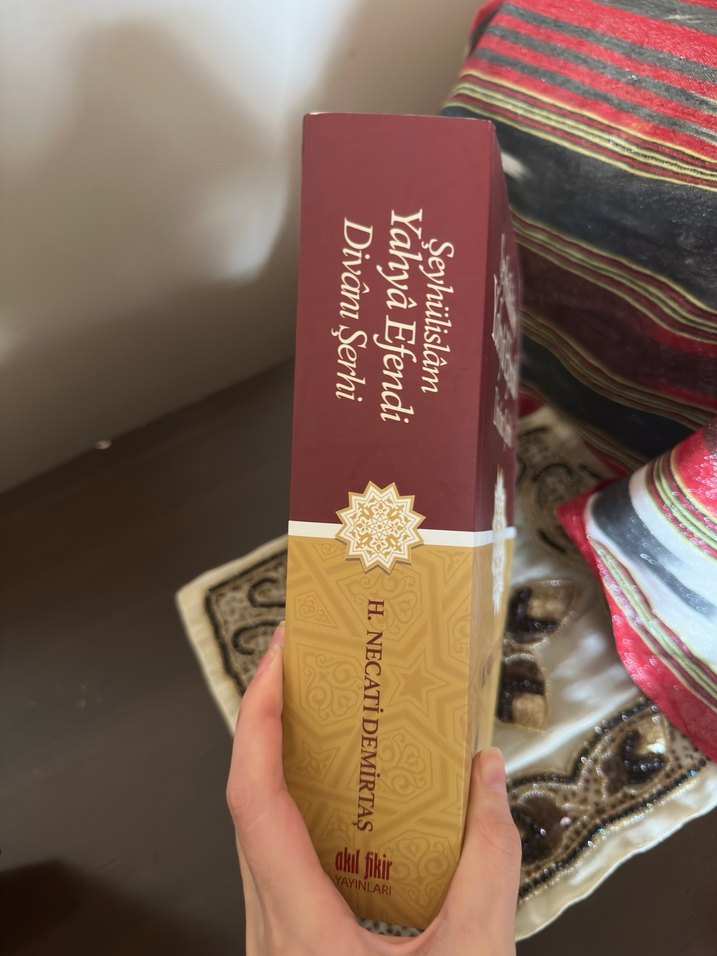 Şeyhülislam Yahya Efendi Divanı Şerhi Kitabı - Görsel 2