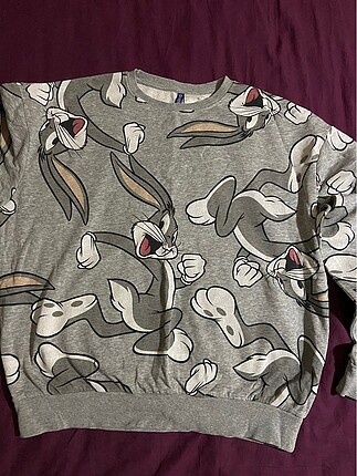 H&M Sweatshirt