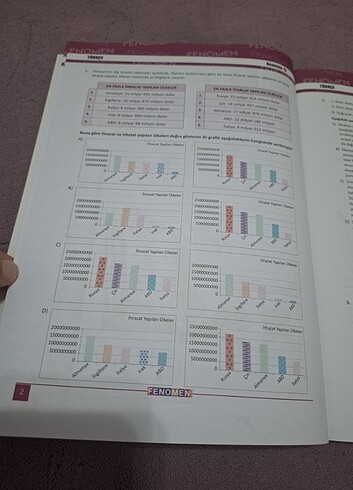 Beden Renk Türkçe Denemeler 8.Sınıf FENOMEN