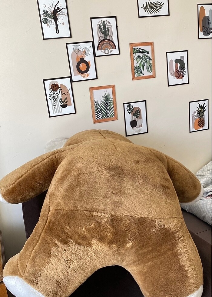 Peluş Ayıcık - Görsel 3