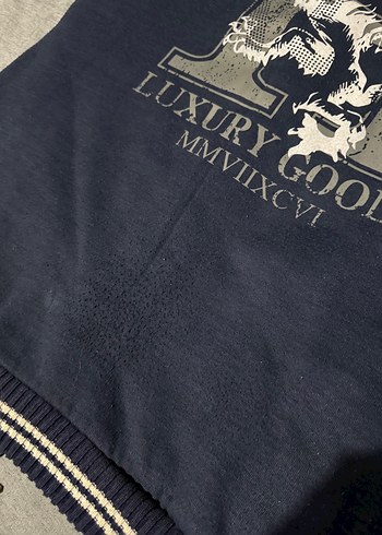 Gri Fermuarlı Erkek Streetwear Sweatshirt - Görsel 6