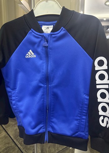 Adidas 24-36 Ay