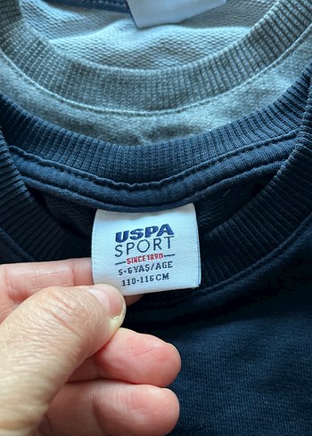 Erkek  çocuğu Gri Baskılı  bordo baskılı ve düzlacivert swet - Görsel 6