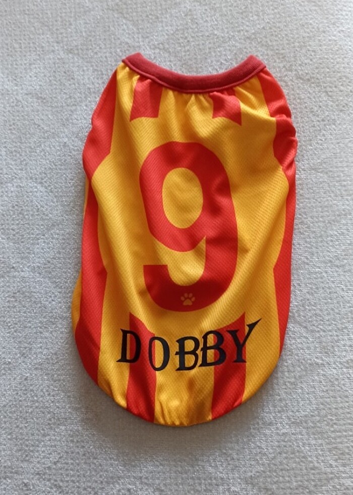 Dobby isimli gs kedi forması - Görsel 2