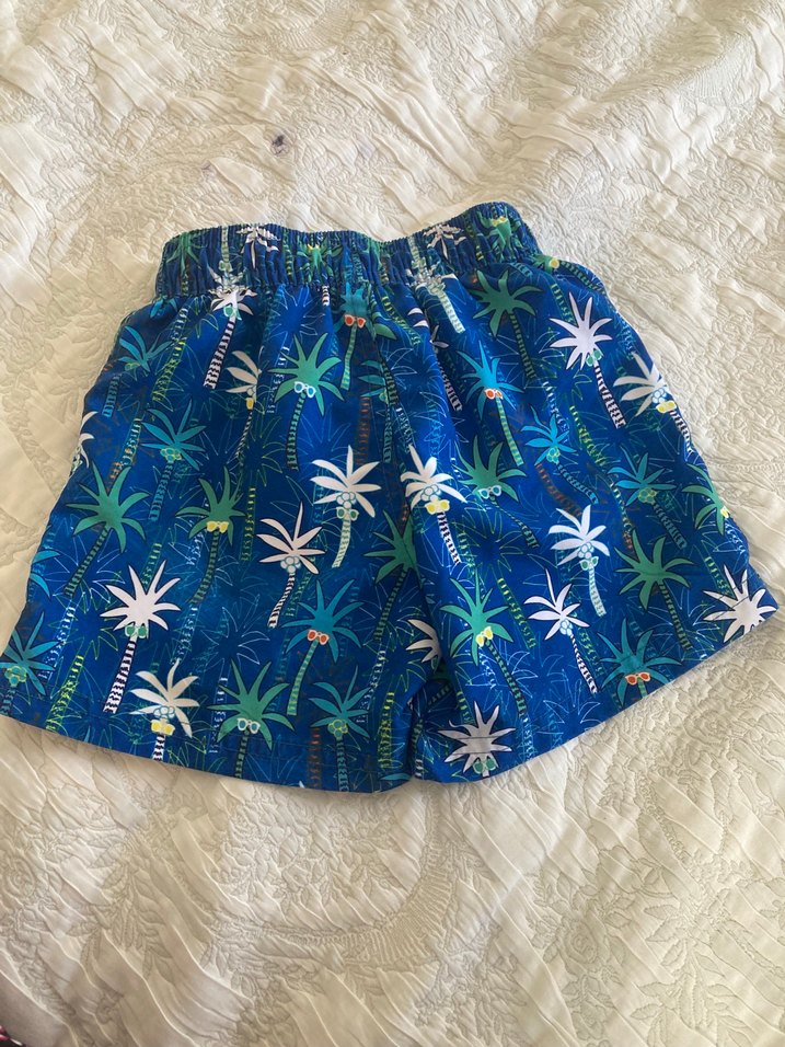 Erkek Çocuk Renkli deniz şortu mayo - Görsel 2