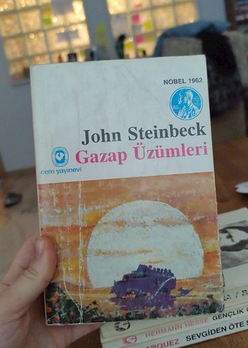 Marquez, Steinbeck, Hesse Roman Seti - Görsel 2