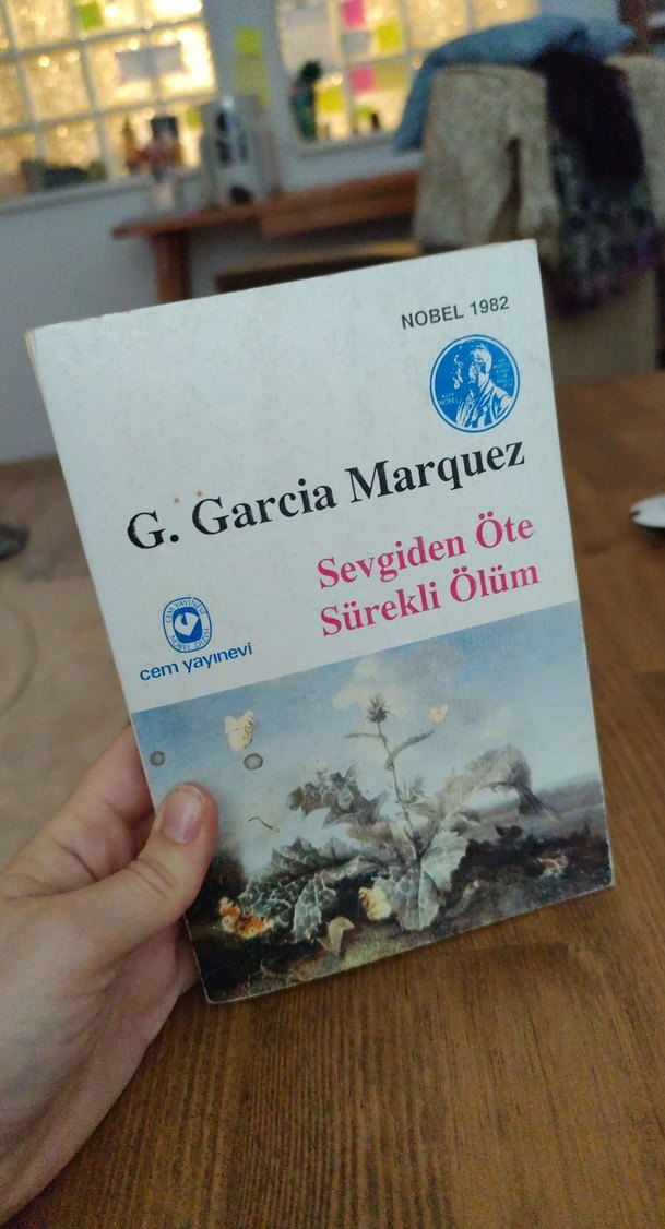 Marquez, Steinbeck, Hesse Roman Seti - Görsel 5
