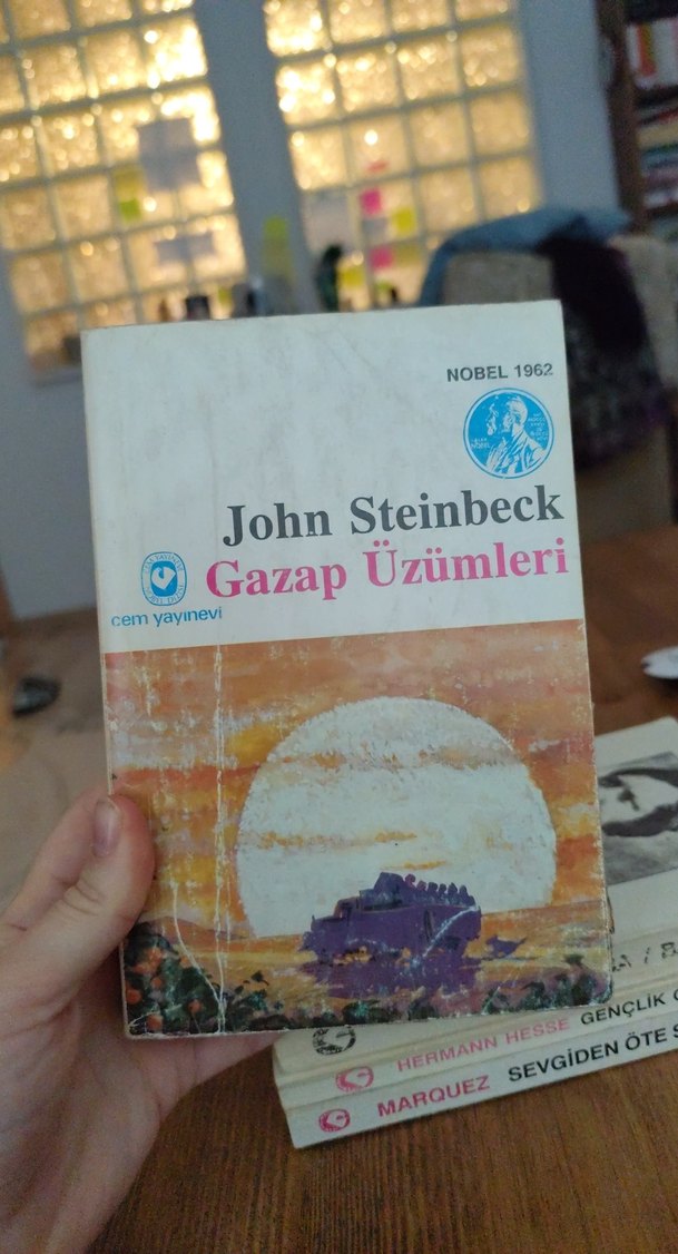 Marquez, Steinbeck, Hesse Roman Seti - Görsel 2