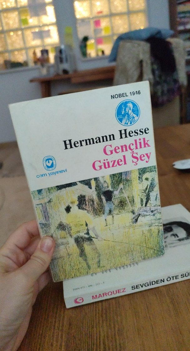 Marquez, Steinbeck, Hesse Roman Seti - Görsel 4