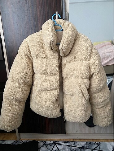 Teddy mont