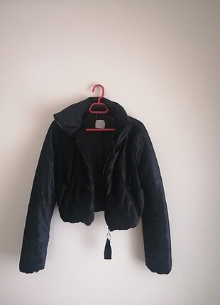 Bershka Crop mont dik yaka 