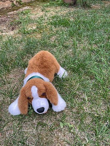 Beden Renk Peluş köpek