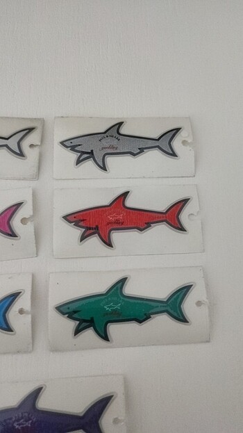 Beden Paul Shark Sticker