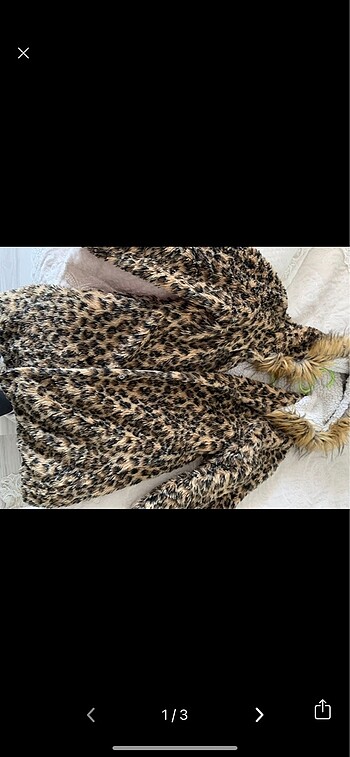 Leopar mont