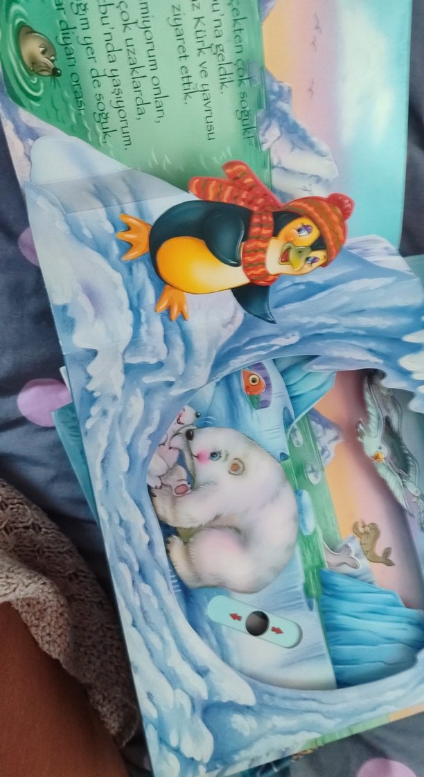 3 Boyutlu Okyanusta - Paycak ve Arkadaşları - Görsel 3