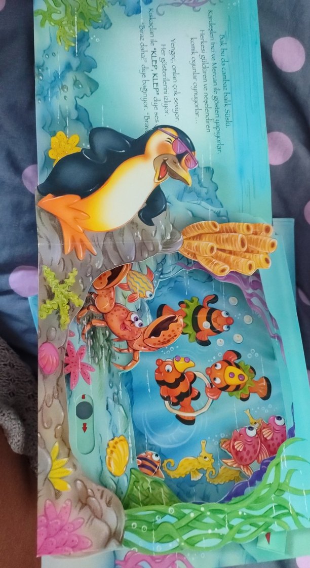 3 Boyutlu Okyanusta - Paycak ve Arkadaşları - Görsel 2