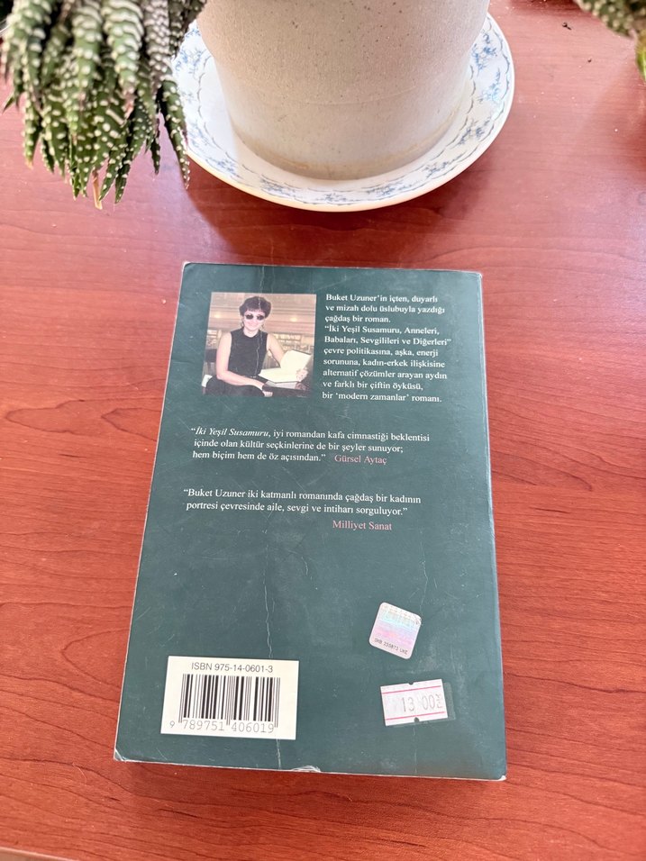 İki Yeşil Susamuru - Buket Uzuner - Görsel 2