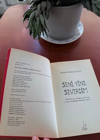Seni Yine Severdim - Didem Moralıoğlu - Görsel 2