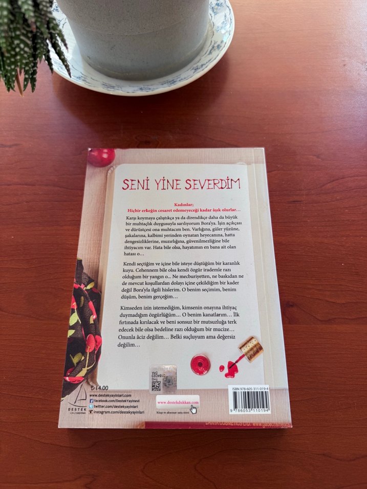 Seni Yine Severdim - Didem Moralıoğlu - Görsel 3