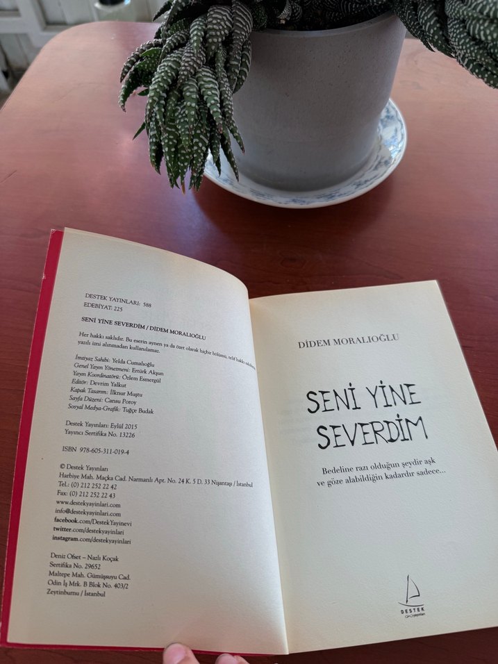 Seni Yine Severdim - Didem Moralıoğlu - Görsel 2