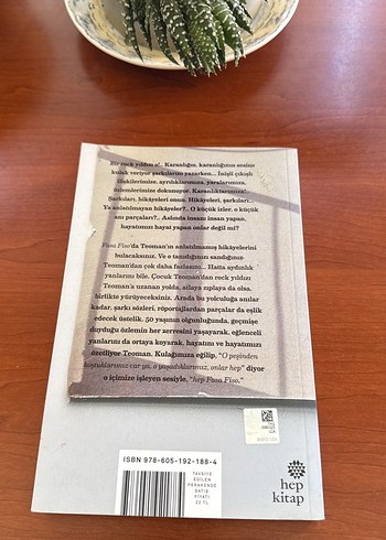 Teoman - Fasa Fiso Roman Kitabı - Görsel 2