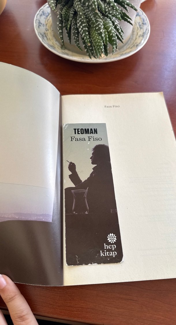 Teoman - Fasa Fiso Roman Kitabı - Görsel 3