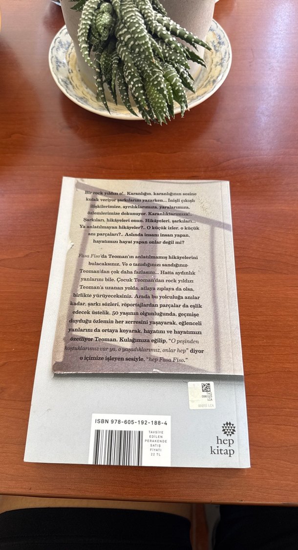 Teoman - Fasa Fiso Roman Kitabı - Görsel 2
