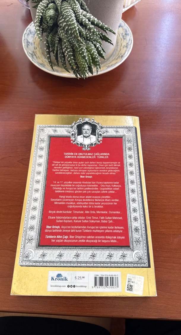 İlber Ortaylı - Türklerin Altın Çağı - Görsel 2