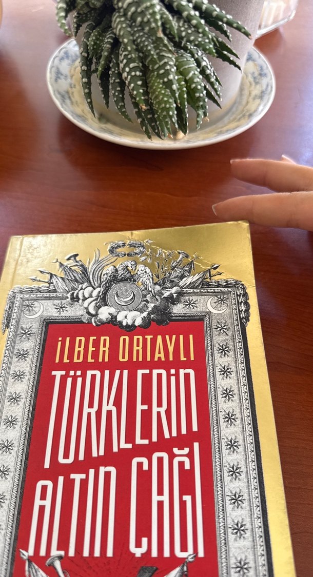 İlber Ortaylı - Türklerin Altın Çağı - Görsel 5