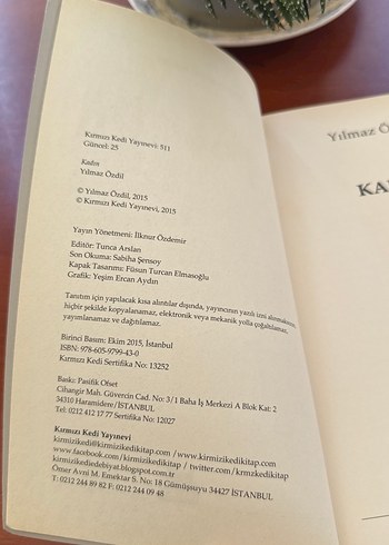 Kadın - Yılmaz Özdil - Görsel 3